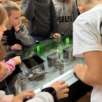 Zajęcia naukowe w Szkole Podstawowej w Brąchnowie