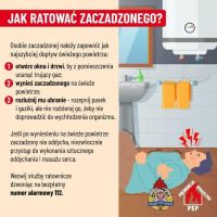 Czujka na straży Twojego bezpieczeństwa!