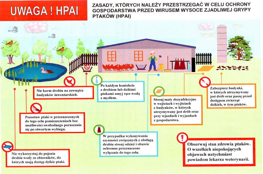 Ptasia grypa - informacje dla hodowców