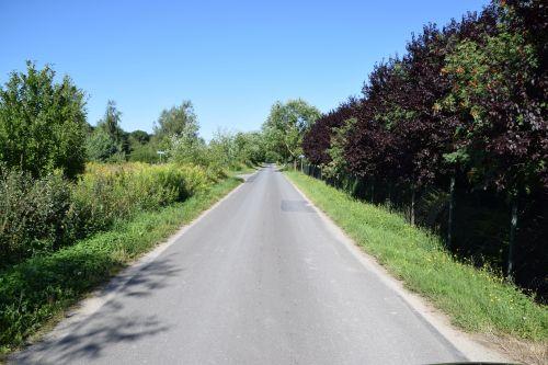 Piastowska Zamek Bierzgłowski 1