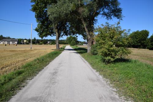 Zdjęcia inwestycji drogowej przed realizacją