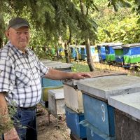 Rękodzieło Gizeli Czyż