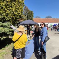 Jarmark Wielkanocny w Zamku Bierzgłowskim