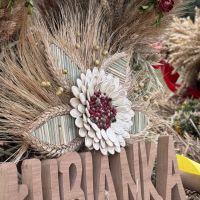 Zdjęcia z Dożynek Gminny 2025 w Gminie Łubianka