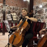 Zdjęcia z koncertu Mistrz i uczeń na zamku