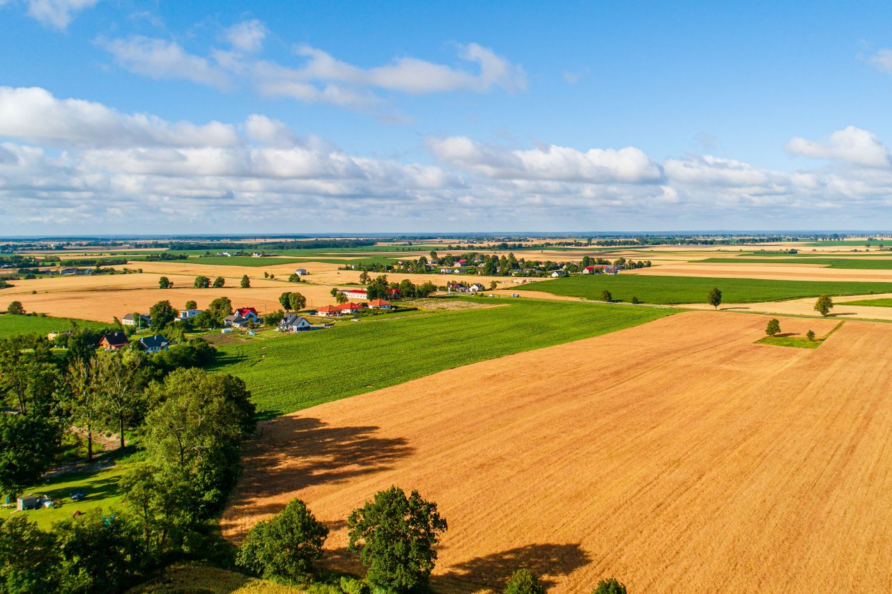 Dębiny