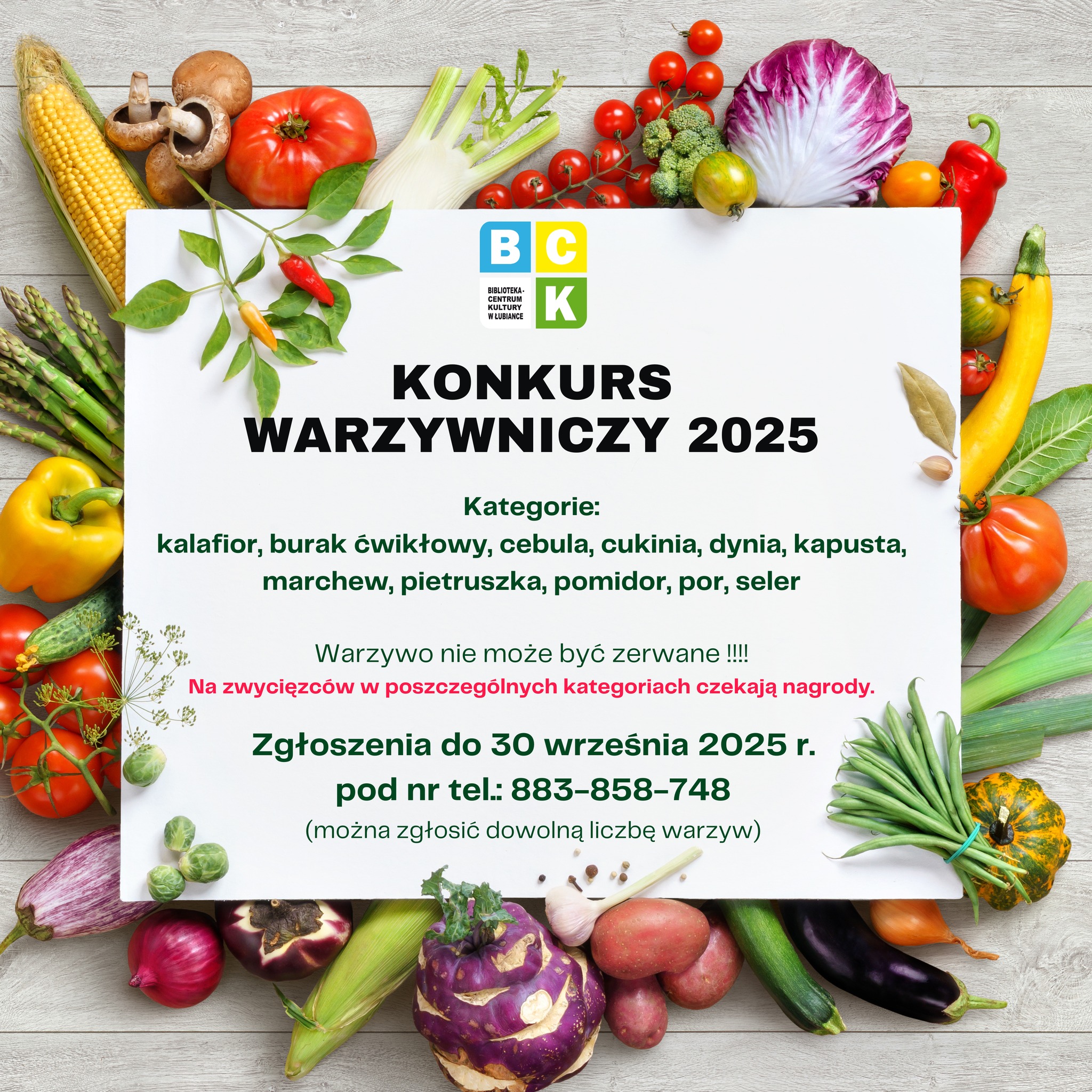 Konkurs warzywniczy BCK w Łubiance