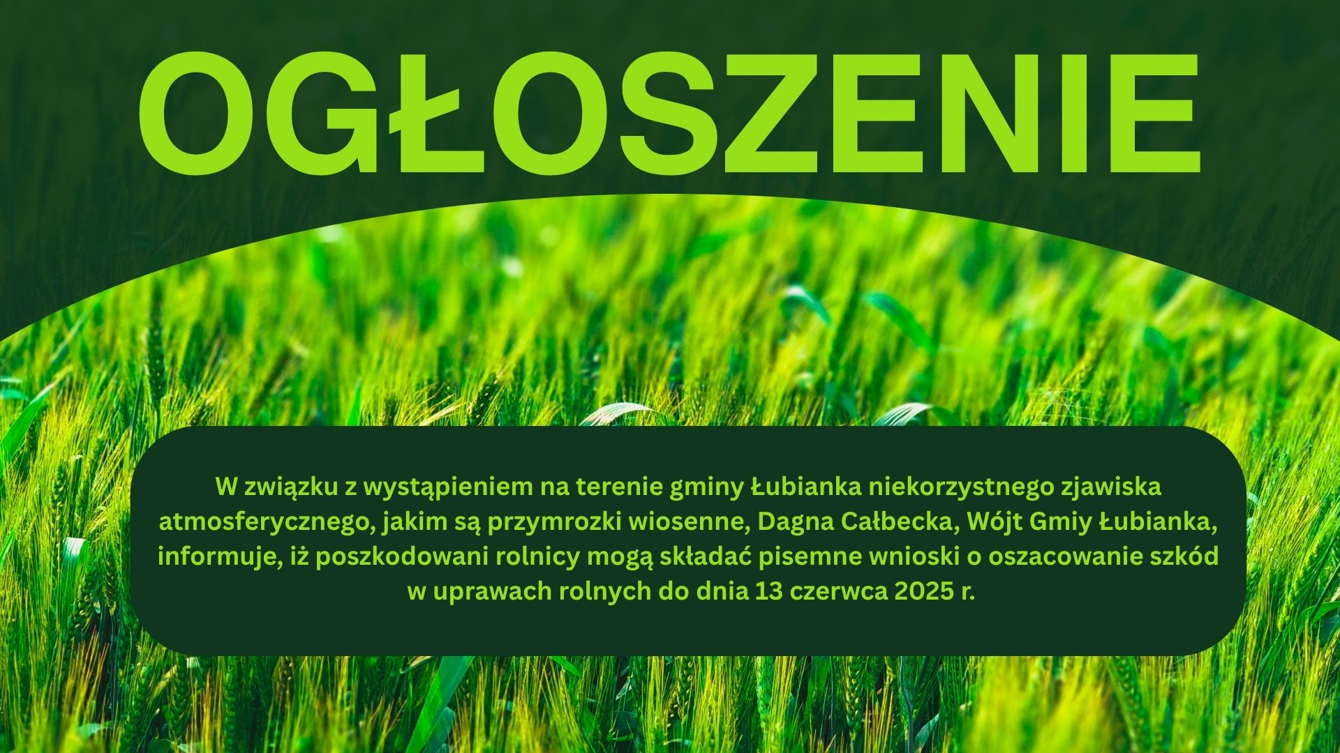 Oszacowanie szkód w uprawach rolnych
