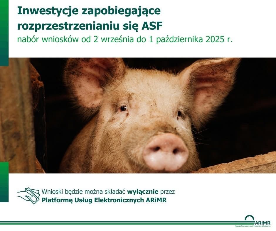 Inwestycje zapobiegające rozprzestrzenianiu się ASF - wkrótce start naboru