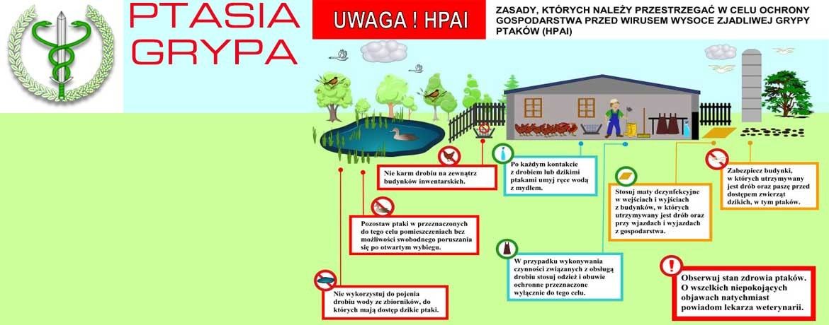 Rozporządzenie Wojewody Kujawsko Pomorskiego w sprawie zjadliwej grypy ptaków