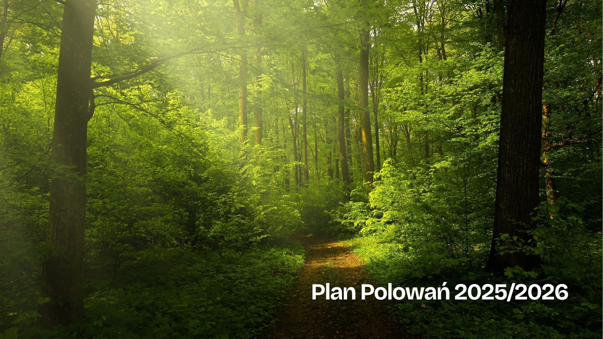 Plan polowań na sezon 2025/2026