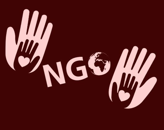 Ogłoszenie o ofercie Fundacji Kraj Wspaniały złożonej w trybie 19a ustawy z dnia 24 kwietnia 2003 r. o działalności pożytku publicznego i o wolontariacie (Dz.U. z 2025 r. poz. 1338)